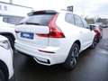 Volvo XC60 T6 Recharge Plus Dark AWD LED PANO 360° Weiß - thumbnail 3