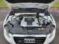 Audi Q5 3.0 TDI quattro S-Line (176kW) im Auftrag Weiß - thumbnail 40