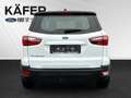 Ford EcoSport 1,0 EcoBoost Cool & Connect Weiß - thumbnail 6