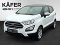 Ford EcoSport 1,0 EcoBoost Cool & Connect Weiß - thumbnail 1