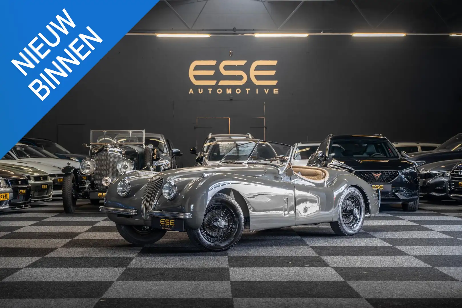 Jaguar XK XK120 OTS Roadster Grijs - 1