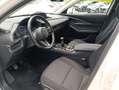 Mazda CX-30 2.0L e-Skyactiv-X M Hybrid 2WD Exceed Blanco - thumbnail 7