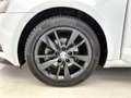 Skoda Octavia Combi 1.6 TDI Greentech Sport Business | TREKHAAK Bianco - thumbnail 13