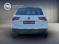 Volkswagen Tiguan Life TDI 4MOTION DSG Weiß - thumbnail 5