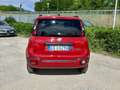 Fiat Panda Panda Cross 1.0 Firefly Hybrid Cross 5 POSTI Rosso - thumbnail 4