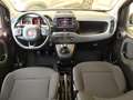 Fiat Panda Panda Cross 1.0 Firefly Hybrid Cross 5 POSTI Rosso - thumbnail 7