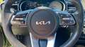 Kia XCeed Spirit Glasdach JBL Xclusiv Grün - thumbnail 17