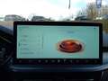 Ford Focus Turnier 1.0  MHEV Aut. ACTIVE X *FahrAs.Pk*WinterP Gris - thumbnail 22