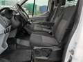 Ford Transit Pritsche L3H1 Weiß - thumbnail 13