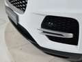 Jaguar E-Pace 2021 2.0d i4 mhev SE awd 163cv auto Blanc - thumbnail 20