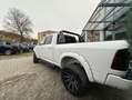 Dodge RAM 5,7 HEMI Sport Höher Breiter Lauter Weiß - thumbnail 2