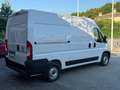 Fiat Ducato MH2 140 CV 33 Q Bianco - thumbnail 3