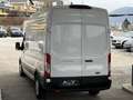 Ford Transit Transit Kasten 2,0 EcoBlue L3H3 330 Trend Weiß - thumbnail 12