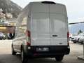 Ford Transit Transit Kasten 2,0 EcoBlue L3H3 330 Trend Weiß - thumbnail 13