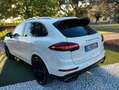 Porsche Cayenne 3.0 V6 tdi tiptronic - thumbnail 3