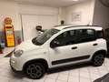 Fiat Panda Panda1.0 firefly hybrid, SCHERMO GRANDE Weiß - thumbnail 2