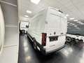 Renault Master NEW MASTER  PRONTA CONSEGNA T35 2.0 BluedCi 130CV Bianco - thumbnail 5