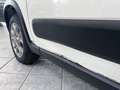 Fiat Panda 1.3 MJT S&S 4x4 - UNIPROP, SENSORI POST Grigio - thumbnail 14