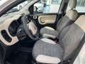 Fiat Panda 1.3 MJT S&S 4x4 - UNIPROP, SENSORI POST Grigio - thumbnail 9