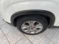 Fiat Panda 1.3 MJT S&S 4x4 - UNIPROP, SENSORI POST Grigio - thumbnail 13