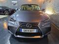Lexus IS 300 300h Pack Business Euro6d-T Grau - thumbnail 3