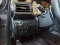 Lexus IS 300 300h Pack Business Euro6d-T Grau - thumbnail 22