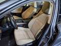 Lexus IS 300 300h Pack Business Euro6d-T Grau - thumbnail 10