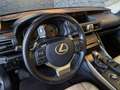 Lexus IS 300 300h Pack Business Euro6d-T Grau - thumbnail 20