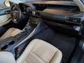 Lexus IS 300 300h Pack Business Euro6d-T Grau - thumbnail 8