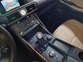 Lexus IS 300 300h Pack Business Euro6d-T Grau - thumbnail 28