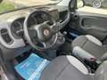Fiat Panda 1.0 hybrid 70cv 5p Grau - thumbnail 16