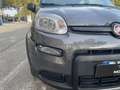 Fiat Panda 1.0 hybrid 70cv 5p Grau - thumbnail 17