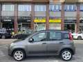 Fiat Panda 1.0 hybrid 70cv 5p Grigio - thumbnail 4