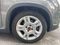 Fiat Panda 1.0 hybrid 70cv 5p Grigio - thumbnail 12