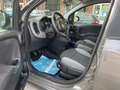 Fiat Panda 1.0 hybrid 70cv 5p Grigio - thumbnail 8