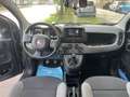 Fiat Panda 1.0 hybrid 70cv 5p Grigio - thumbnail 9