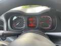Fiat Panda 1.0 hybrid 70cv 5p Grigio - thumbnail 10