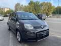 Fiat Panda 1.0 hybrid 70cv 5p Grigio - thumbnail 3