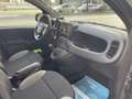 Fiat Panda 1.0 hybrid 70cv 5p Grigio - thumbnail 11
