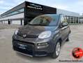 Fiat Panda 1.0 hybrid 70cv 5p Grau - thumbnail 1