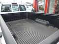 Ford Ranger XL Einzelkabine 4x4 AHK Weiß - thumbnail 22