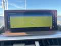 Lexus NX 300 Hybrid 4WD Premium Grijs - thumbnail 13