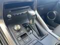 Lexus NX 300 Hybrid 4WD Premium Grijs - thumbnail 15