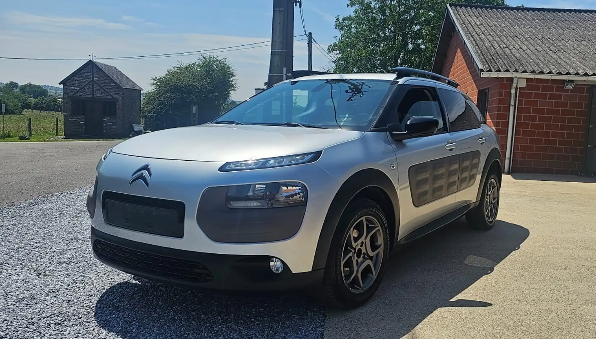 Citroen C4 Cactus 1.2i PureTech 82 Business Class Euro6 Airco Camera - 2
