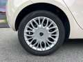 Lancia Ypsilon Ypsilon 1.2 69 CV 5 porte Gold Beige - thumbnail 15