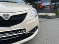 Lancia Ypsilon Ypsilon 1.2 69 CV 5 porte Gold Beige - thumbnail 12