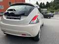 Lancia Ypsilon Ypsilon 1.2 69 CV 5 porte Gold Beige - thumbnail 11
