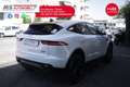 Jaguar E-Pace Jaguar E-Pace 2.0D 150 CV AWD aut. R-Dynamic HSE Bílá - thumbnail 13