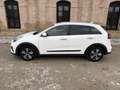 Kia Niro 1.6 HEV Drive Weiß - thumbnail 5