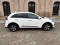Kia Niro 1.6 HEV Drive Weiß - thumbnail 6